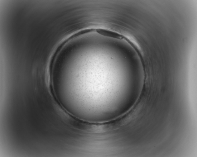 X0000088901080200706081301