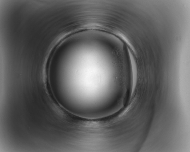 X0000088901082200706081301