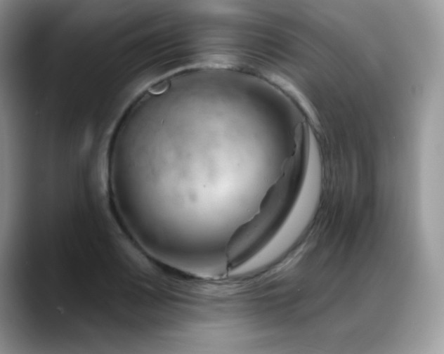X0000088901083200706081301