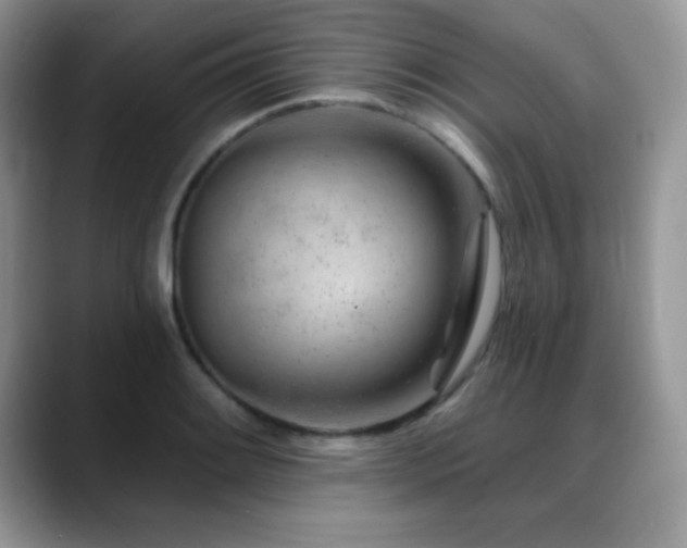 X0000088901084200706081301