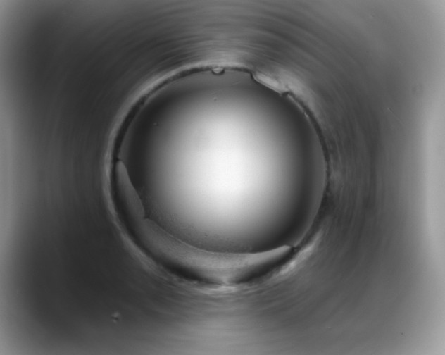 X0000088901085200706081301