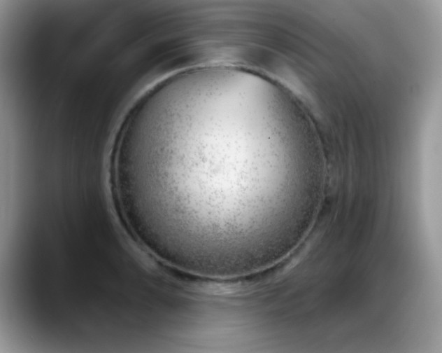 X0000088901086200706081301