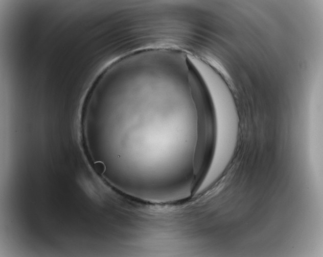 X0000088901087200706081301
