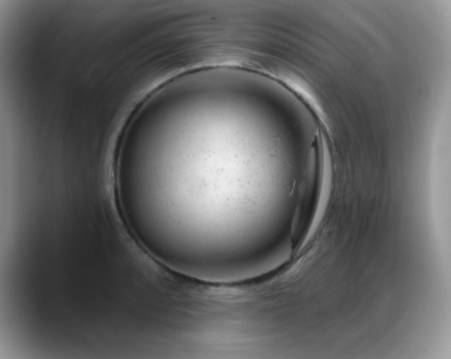 X0000088901088200706081301
