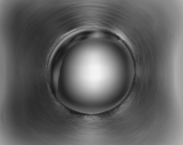 X0000088901089200706081301