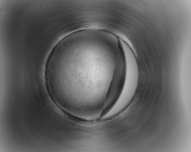 X0000088901091200706081301
