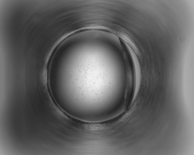 X0000088901092200706081301