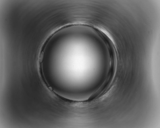 X0000088901093200706081301