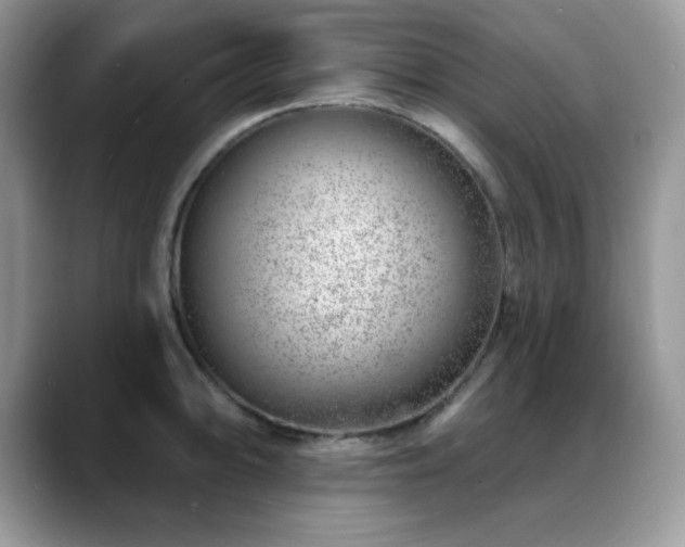 X0000088901094200706081301