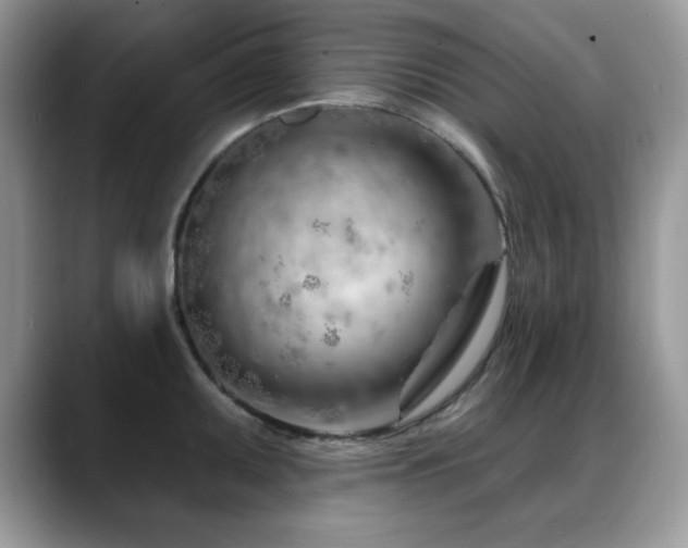 X0000088901095200706081301