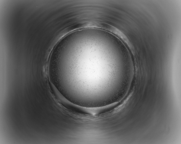 X0000088901097200706081301