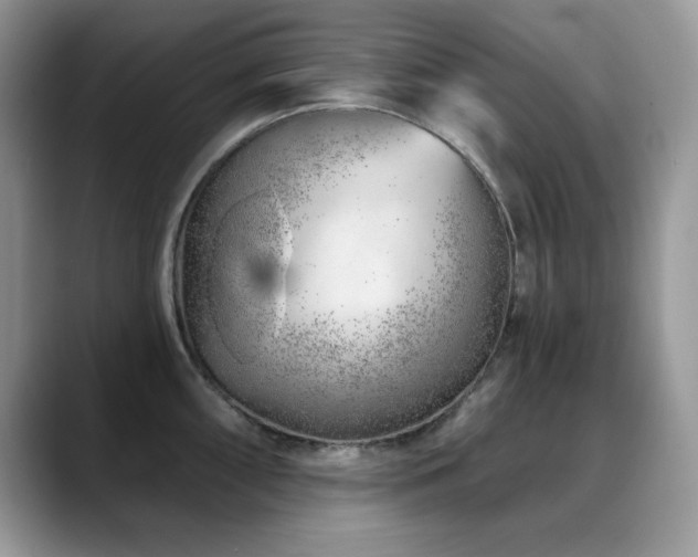 X0000088901098200706081301