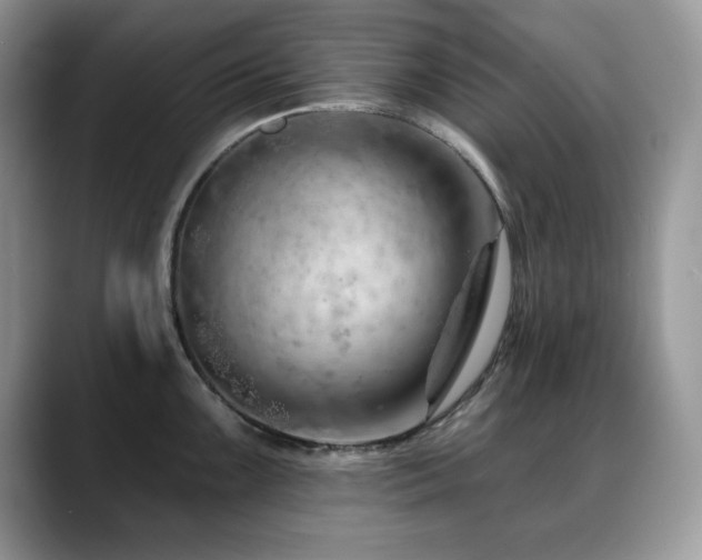 X0000088901099200706081301