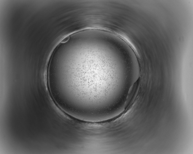 X0000088901100200706081301