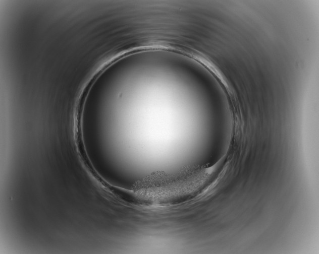 X0000088901101200706081301