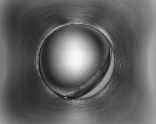 X0000088901102200706081301