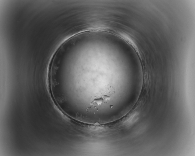 X0000088901103200706081301