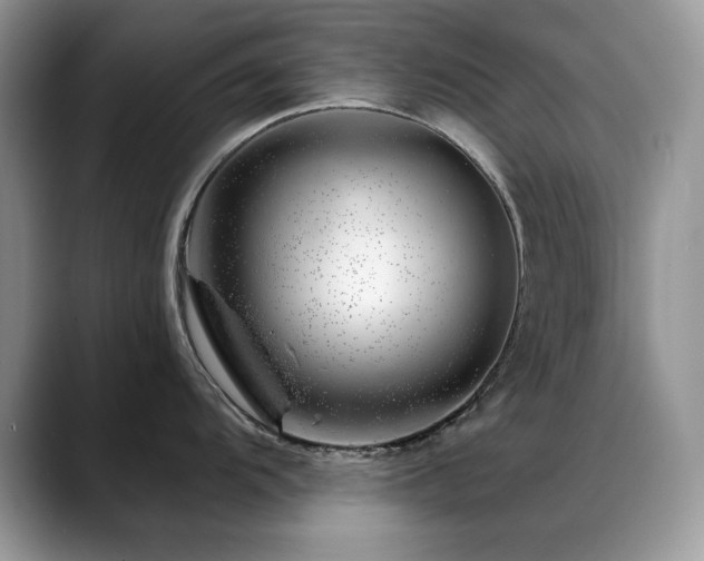 X0000088901104200706081301