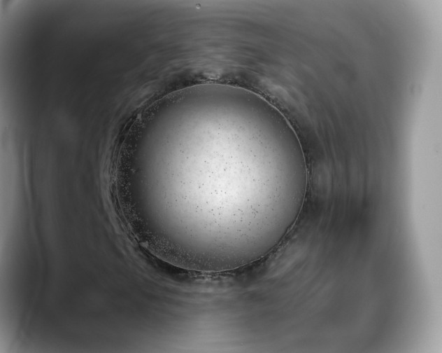 X0000088901105200706081301