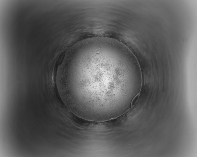 X0000088901106200706081301