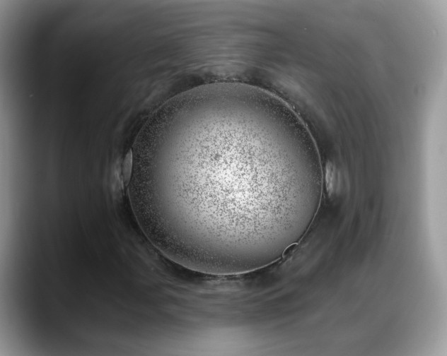 X0000088901107200706081301