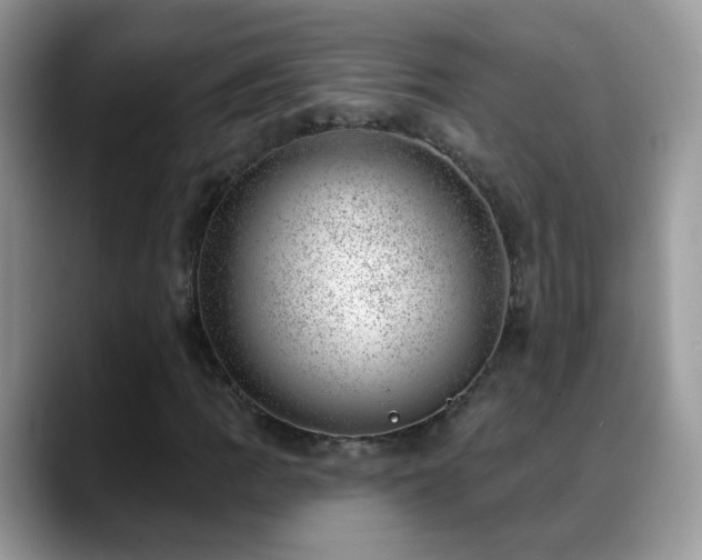 X0000088901109200706081301