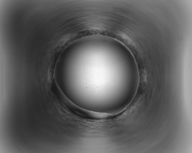 X0000088901110200706081301