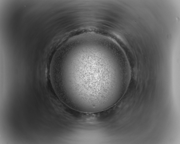X0000088901111200706081301