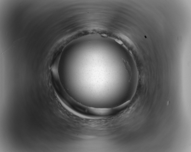 X0000088901112200706081301