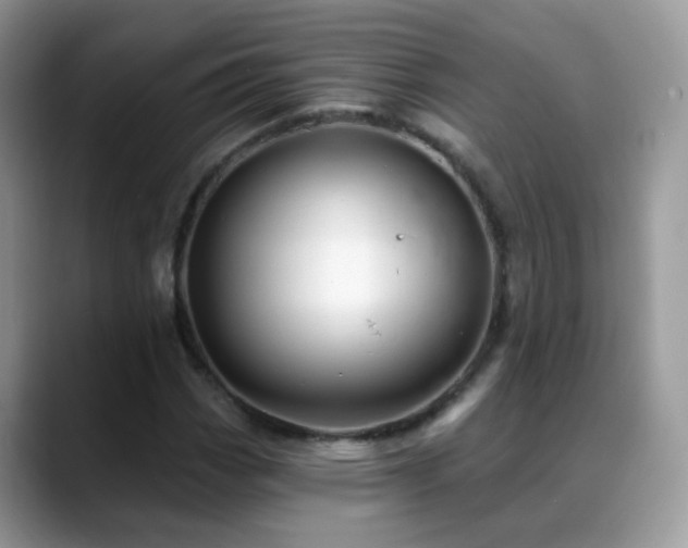 X0000088901113200706081301