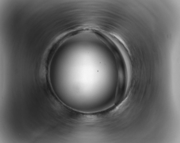 X0000088901115200706081301