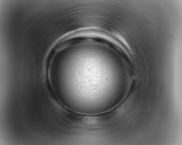X0000088901116200706081301
