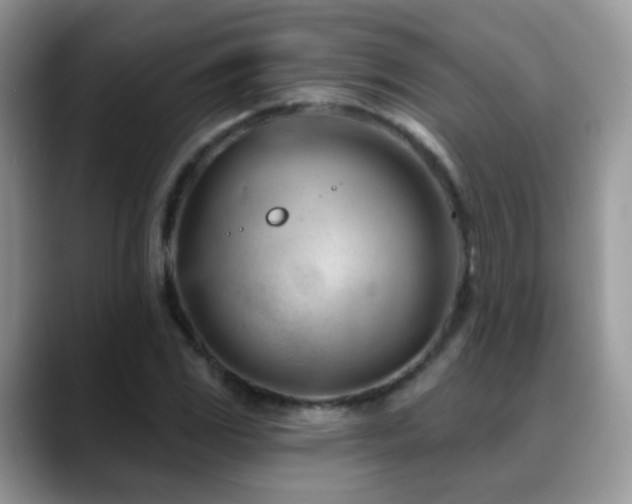 X0000088901117200706081301