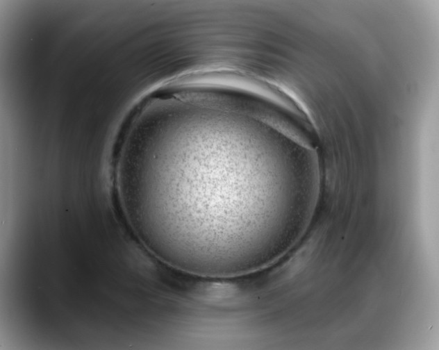 X0000088901119200706081301