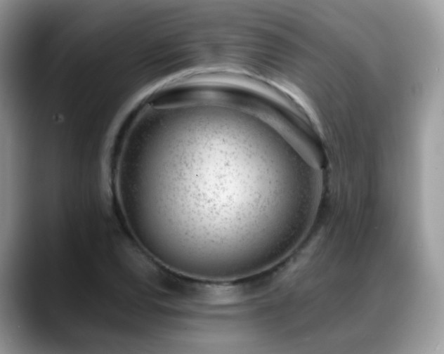 X0000088901120200706081301