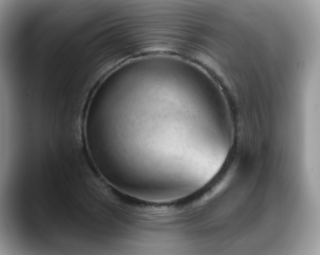 X0000088901121200706081301