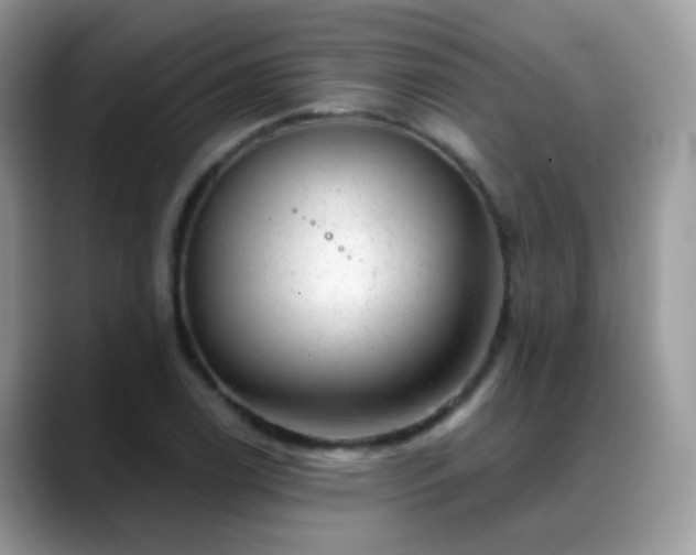 X0000088901122200706081301