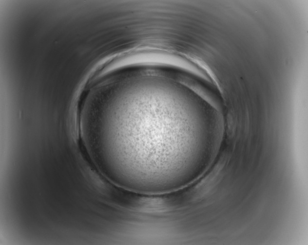 X0000088901123200706081301