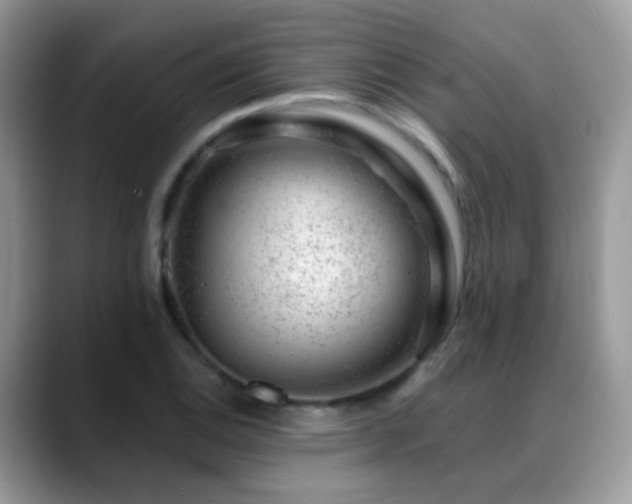 X0000088901124200706081301