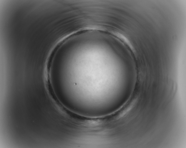 X0000088901125200706081301