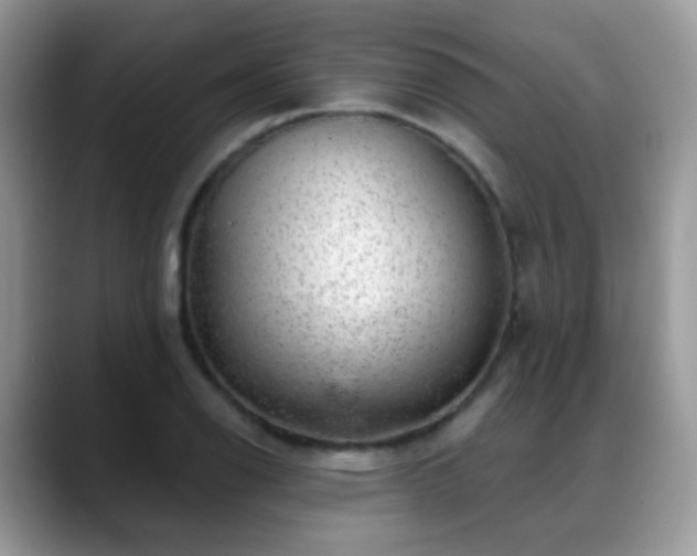 X0000088901126200706081301