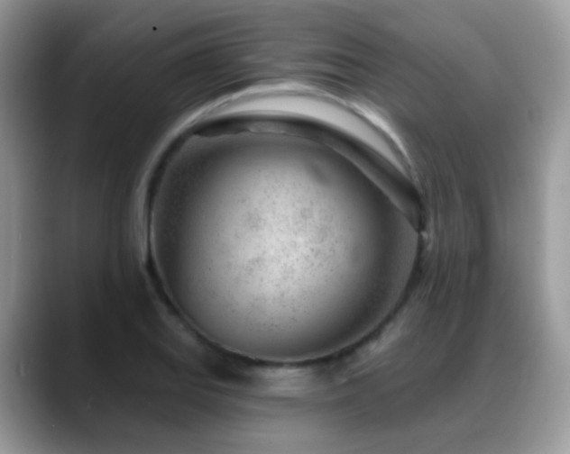 X0000088901127200706081301