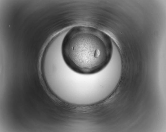X0000088901128200706081301