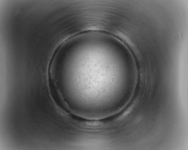X0000088901129200706081301