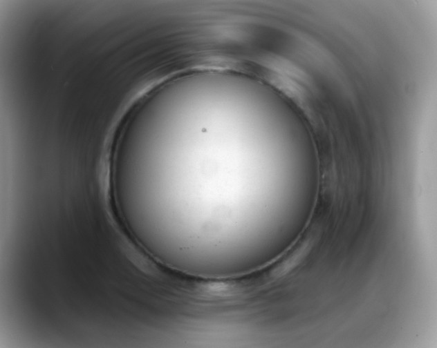 X0000088901130200706081301