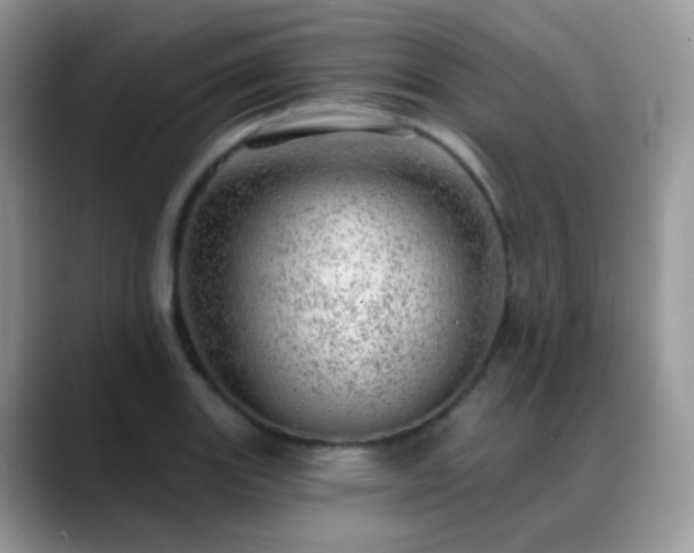 X0000088901131200706081301