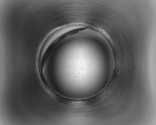 X0000088901132200706081301