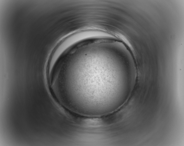 X0000088901133200706081301