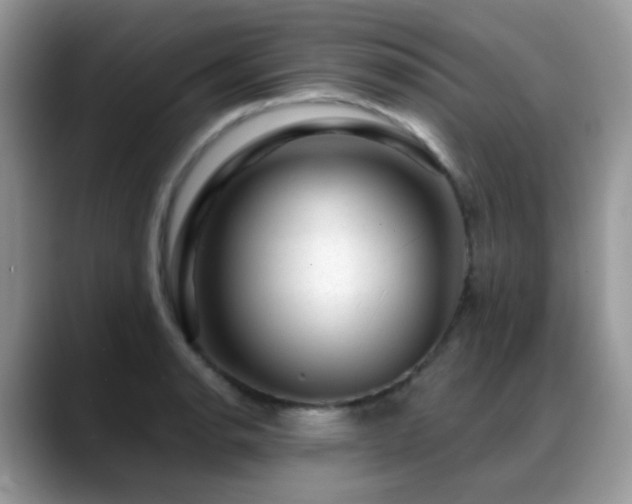 X0000088901134200706081301