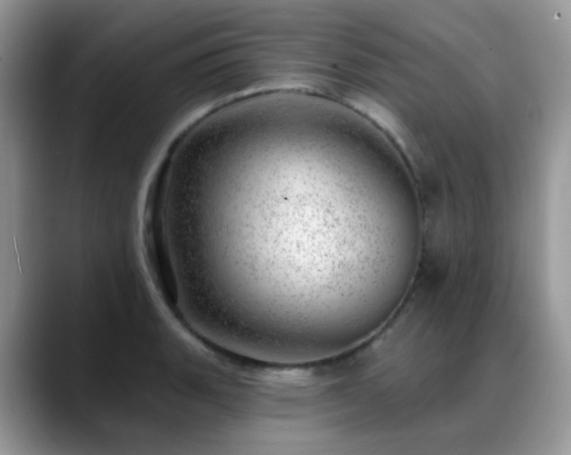 X0000088901135200706081301